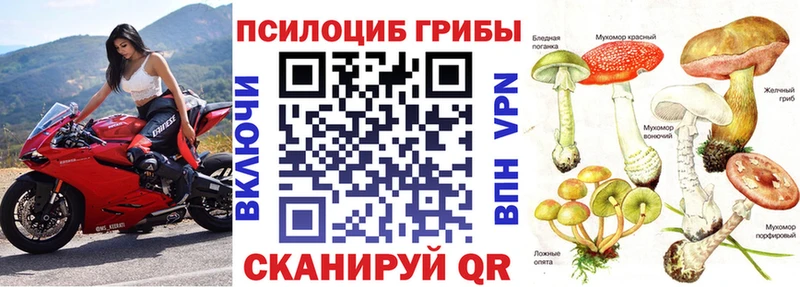 Псилоцибиновые грибы GOLDEN TEACHER Находка